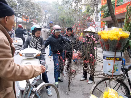 Nhiều người chọn mua đào quất ở chợ hoa Hàng Lược.