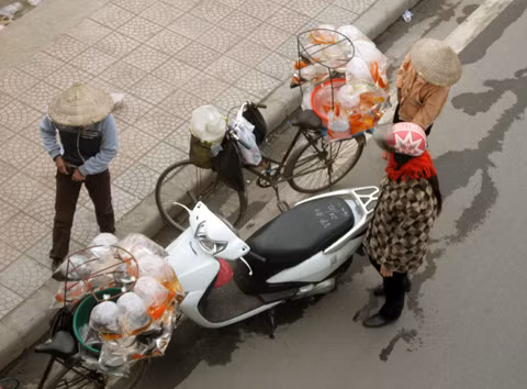 Dưới chân cầu, cá chép vẫn dạo vẫn tung tăng chờ khách mua về để... thả xuống sông.