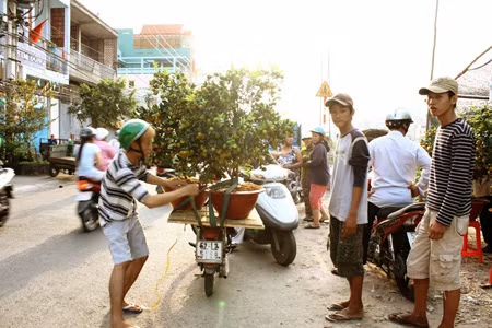 Nghệ nhân Ga (Mỏ Cày, Bến Tre) đang tỉa lại những cánh mai trên thuyền để cho hoa cập bến. “Giá mỗi chậu chỉ khoảng 100 ngàn. Nếu nói thách cho khách trả, tôi sẽ ra giá 120 chục ngàn đồng”, anh Ga thật thà cho biết.