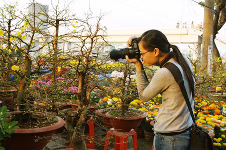 Bạn Vi, thành viên của diễn đàn nhiếp ảnh Vnphoto đang say sưa thả hồn theo những nụ mai vàng đang e ấp giữa cái nắng ban chiều.