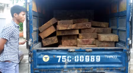 Bắt giữ một xe tải chở gỗ chò lậu ảnh 1