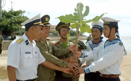 Bàng vuông - món quà riêng có của Trường Sa.