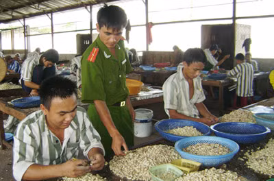 Hướng dẫn học nghề cho phạm nhân ở Trại giam Đắk Trung.