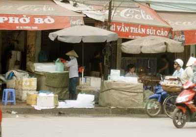 "Đá cây vỉa hè" trên đường Trường Chinh.