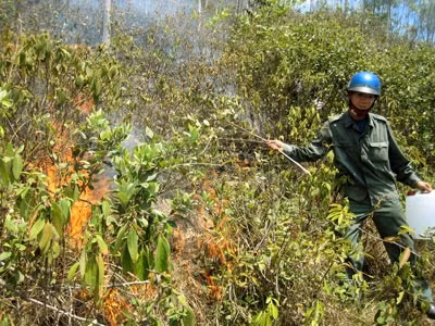 Hiện trường vụ cháy.