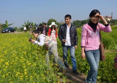 Ghi lại khoảnh khắc mùa vàng hoa cải.