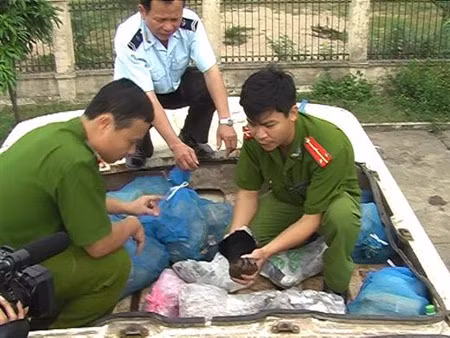 Lực lượng chức năng tỉnh Nghệ An phân loại động vật hoang dã thu giữ trong một vụ buôn lậu.