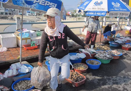 Ai về Đà Nẵng khai hội cầu Ngư ảnh 6