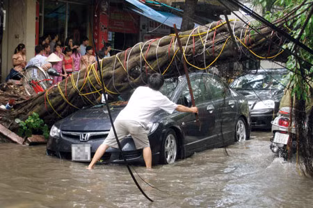 Trong cơn mưa cột cây đã đổ đè lên chiếc Honda civic trên phố Dã Tượng, rất may không có thiệt hại về người.