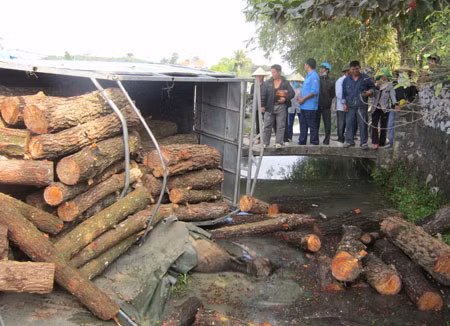 Đâm phải trâu trên Quốc lộ, 2 xe tải nát đầu ảnh 1
