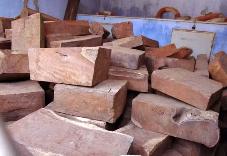 Hơn 7 mét khối gỗ hương nhập lậu qua đường sắt ảnh 1
