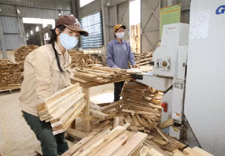 Các doanh nghiệp sản xuất hàng thiết yếu vẫn có nhiều cơ hội tăng trưởng tốt trong năm 2014.
