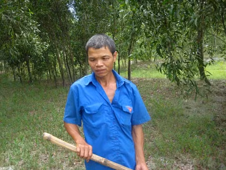 Võ Văn Bế trồng cả triệu cây rừng.