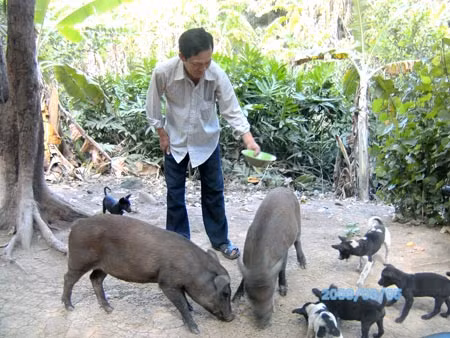 "Những người bạn" trong căn chòi giữa rừng cùng ông Duyên.