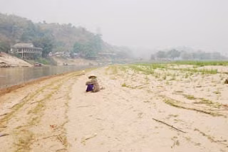 Người đàn bà trên mảnh đất Tam Giác Vàng.