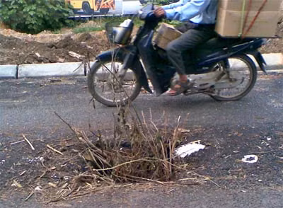 Một hố ga được "đậy" bằng cành cây.