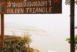 Bãi bồi giữa sông được gọi là Tam Giác Vàng.
