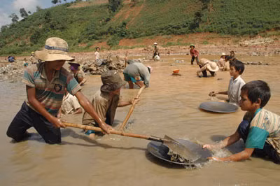 Những học sinh bỏ học đi đãi vàng.