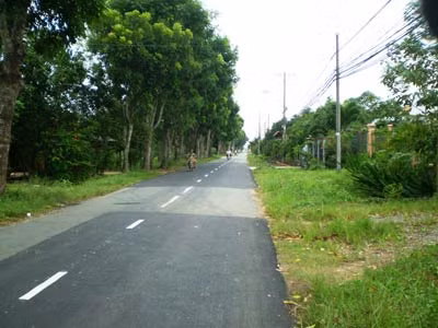 Một góc vùng quê ở Củ Chi.