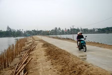 Con đường ngăn sông Thu Bồn nối thôn Đông Bình với bên ngoài.