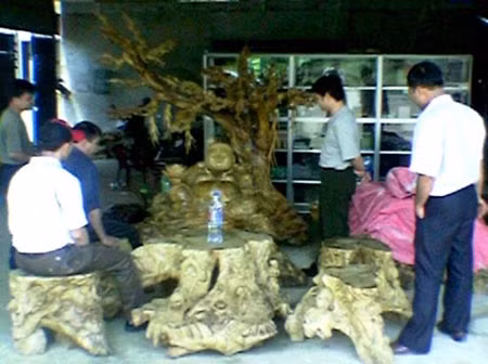 Đại gia vung tiền chơi ngọc nghiến ảnh 3