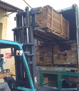 Rất khó ngăn chặn ngà voi nhập lậu qua cảng Hải Phòng ảnh 2