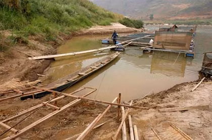 Một người dân Thái Lan làm việc tại trại cá gần sông Mekong. Ảnh: Reuters.