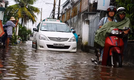 TP HCM: Triều cường và mưa lớn gây vỡ bờ bao ảnh 1