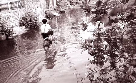 TP HCM: Triều cường gây ngập nặng ảnh 1