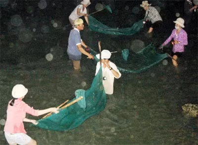 Người dân trúng đậm cá chình trên sông Cái ảnh 1