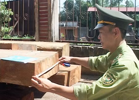 Gỗ lậu được phát hiện trong nhà ông Chùy.