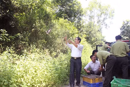 Cán bộ Kiểm lâm Thanh Hóa thả chim vào Vườn thực vật Hàm Rồng, TP Thanh Hóa.