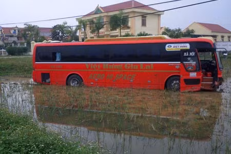 Xe khách “yên vị” dưới ruộng lúa sau khi bị xe đạp tạt ngang đầu.