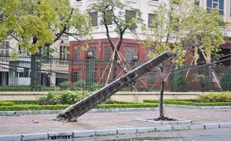 Bão làm đổ nhiều cột điện tại Thái Bình. Ảnh: Báo Thái Bình.