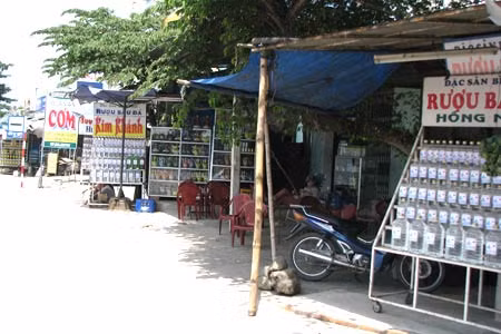 Rượu Bầu Đá nhan nhản dọc QL1A. Loại nào là thật?
