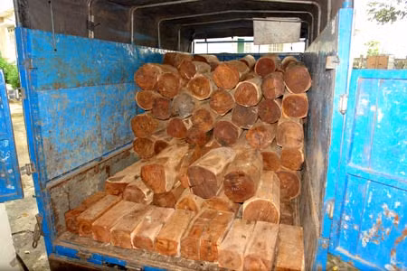 Tang vật của vụ việc. Lực lượng Công an lấy lời khai của Hiệp.
