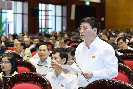 Đại biểu Quốc hội phát biểu ý kiến. Ảnh: TTXVN.