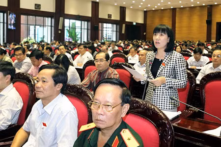 Đại biểu phát biểu tại hội trường.