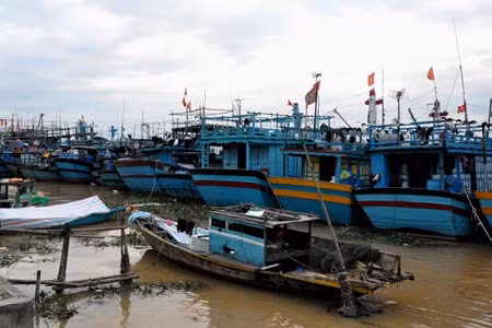 Những con tàu câu mực chuẩn bị ra khơi đầu năm.