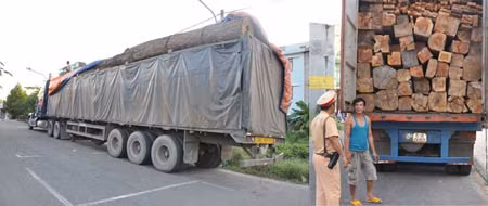 2 xe container chở gỗ quá tải trọng bị tổ CSGT lập biên bản vi phạm.