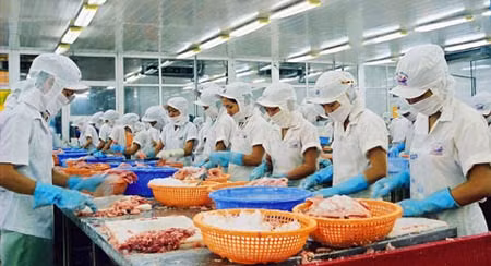 Nguồn nguyên liệu trong nước vẫn không đủ cho chế biến xuất khẩu. Ảnh minh họa.
