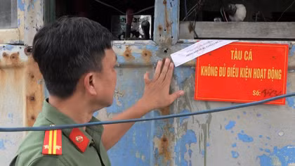 Tăng cường tuyên truyền, xử lý nghiêm các vi phạm liên quan IUU
