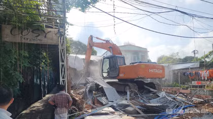Chuyển cơ quan điều tra các trường hợp vi phạm đất rừng nghiêm trọng