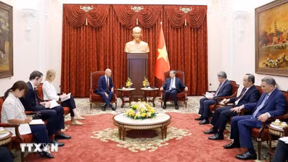 Tổng Bí thư, Chủ tịch nước Tô Lâm tiếp Đại sứ các nước Bỉ, Na Uy, Hà Lan và Brazil chào từ biệt