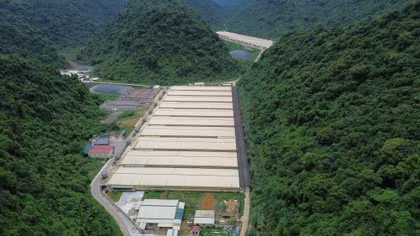 7 người thương vong khi sửa chữa hệ thống điện tại trang trại