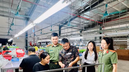 Giữ bình yên từ gốc, kiến tạo động lực phát triển