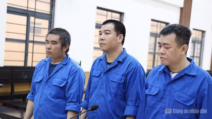 3 đối tượng cướp hơn 54 tấn cá tra, lĩnh án 34 năm tù