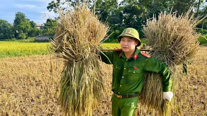 Công an Thanh Hóa xuống đồng giúp dân mùa gặt