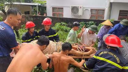 Hải Phòng, Quảng Ninh căng mình trước đợt mưa lịch sử