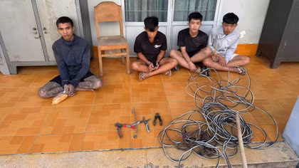Bắt nhóm trộm dây điện, phát hiện đối tượng truy nã đặc biệt